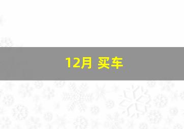 12月 买车